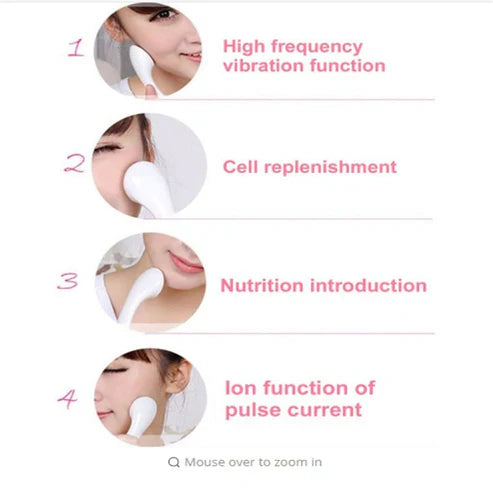 Multifunction Beauty Facial Massager