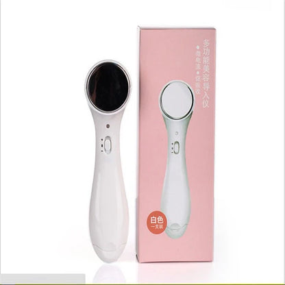 Multifunction Beauty Facial Massager