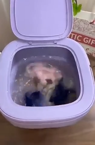 Foldable Mini Laundry Machine
